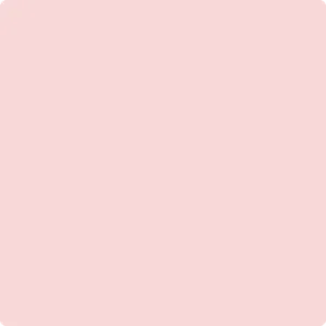 1338: Powder Blush  by Benjamin Moore