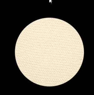 215 RICE  EYESHADOW