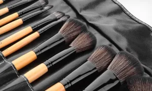 24-Piece Professional Makeup Brush Set