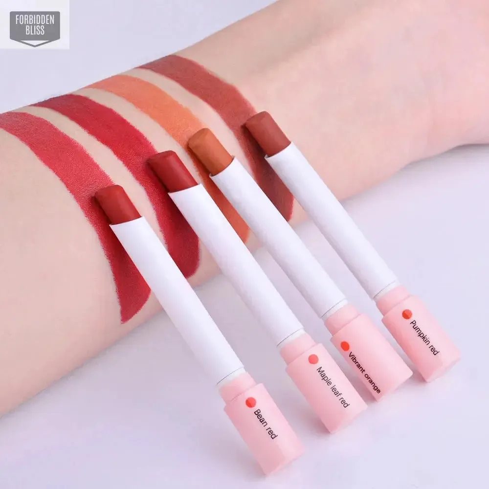 4 Colors Makeup Lipstick Set