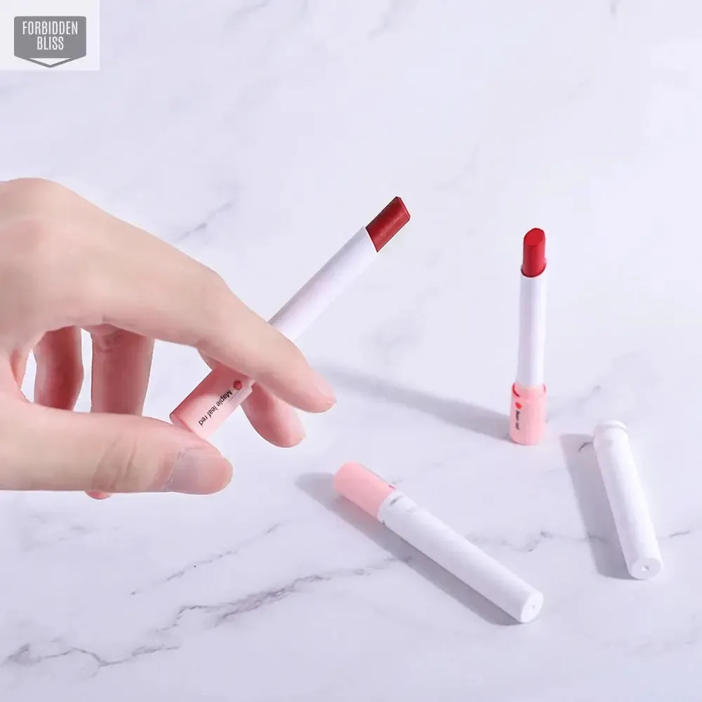 4 Colors Makeup Lipstick Set