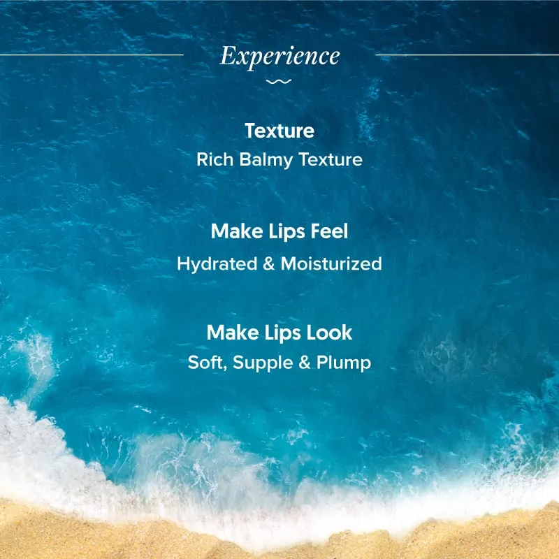 Aqualogica Radiance  Plump Lip Balm with Watermelon and Shea Butter - Lip Mask for Heals, Hyperpigmentation & Hydrates Chapped Lips for Women & Men -15g