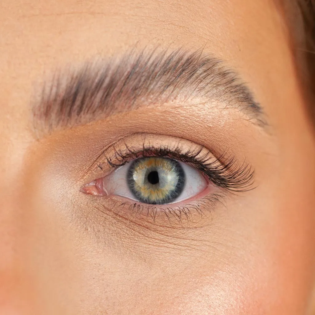 Boldface Lashes - Major Flair