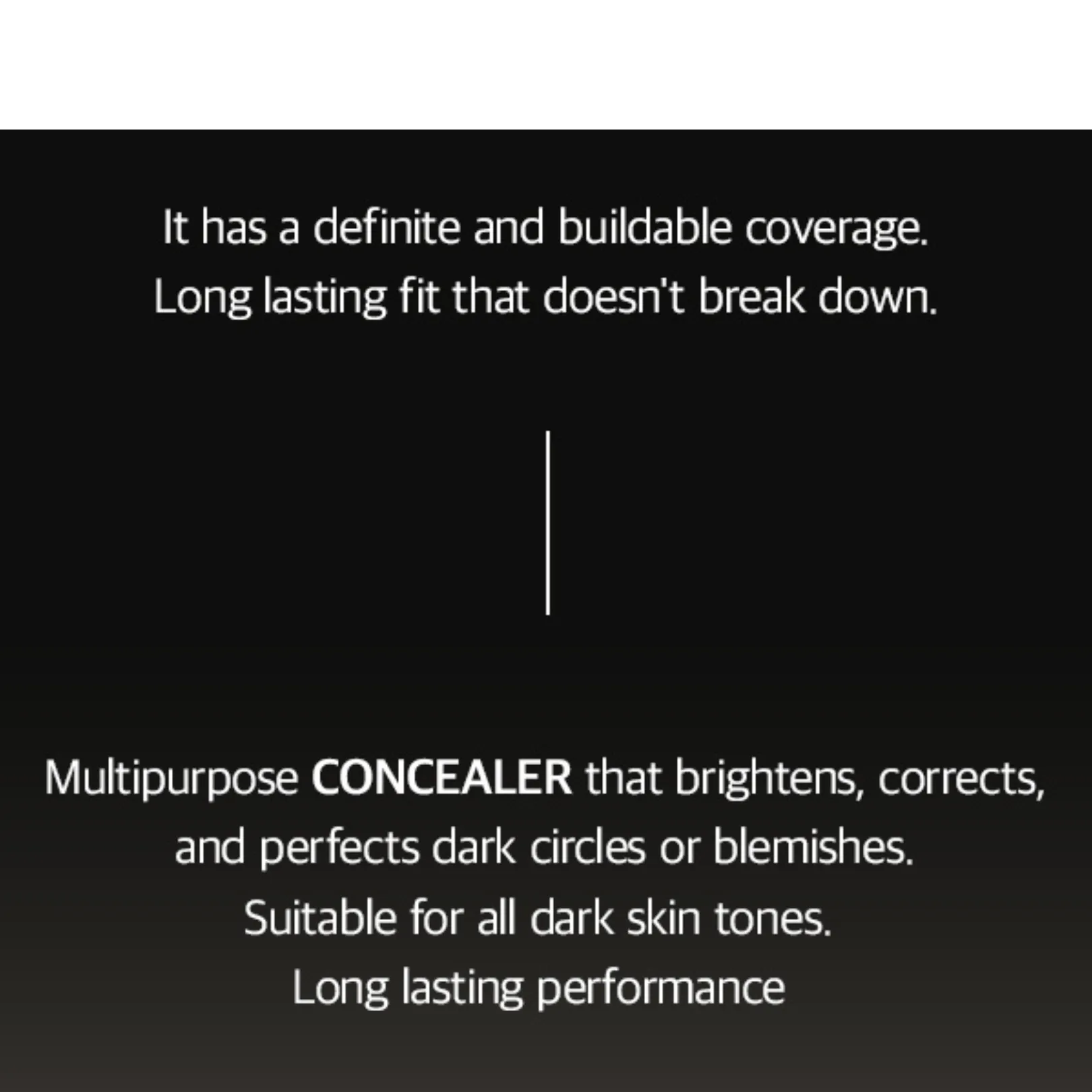 [CHIC HOLIQUE] Skin Fit Concealer