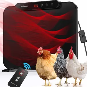 Chicken coop heater