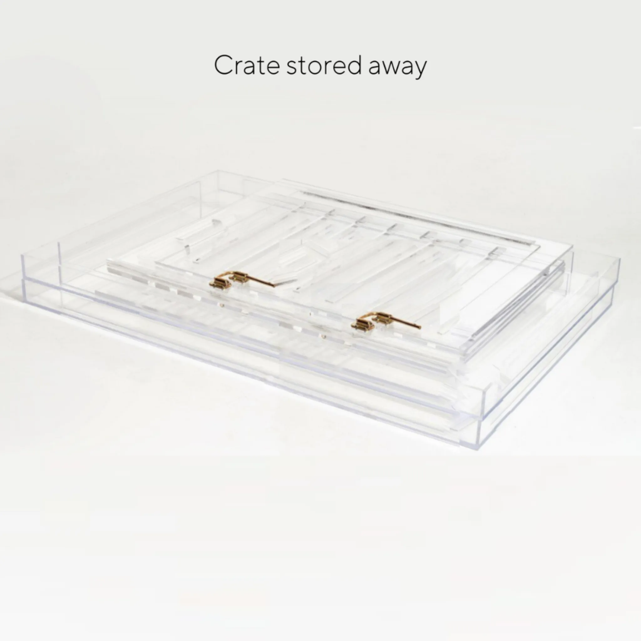 Clear Dog Crate to Gate