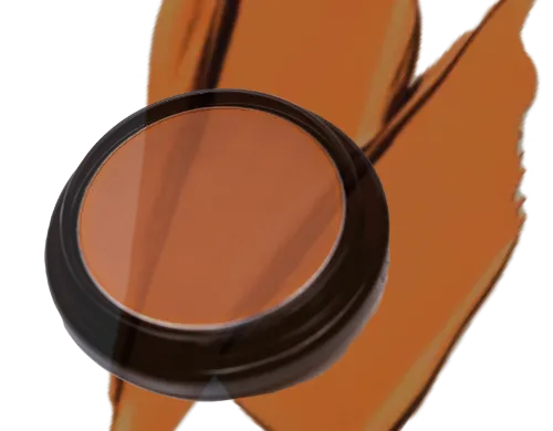 Cover Up Concealer