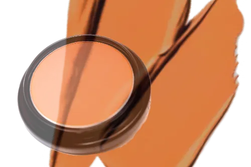 Cover Up Concealer