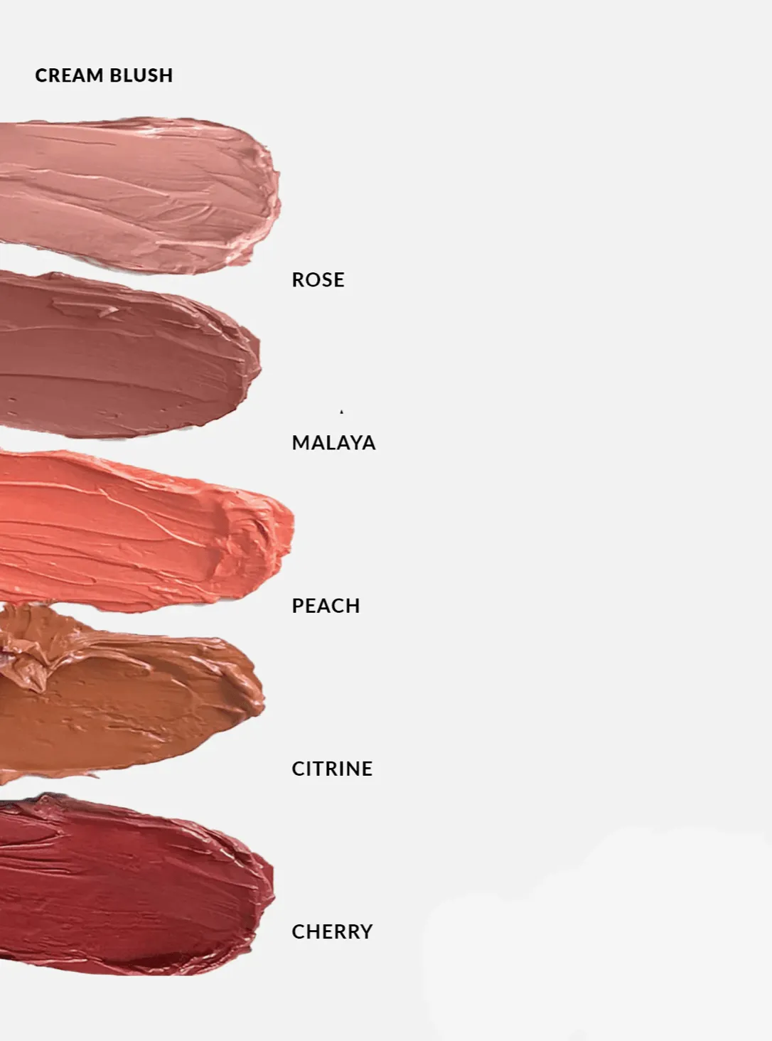 Face Collection   Duo Brush