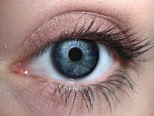 Frosting on Taupe Eyeshadow