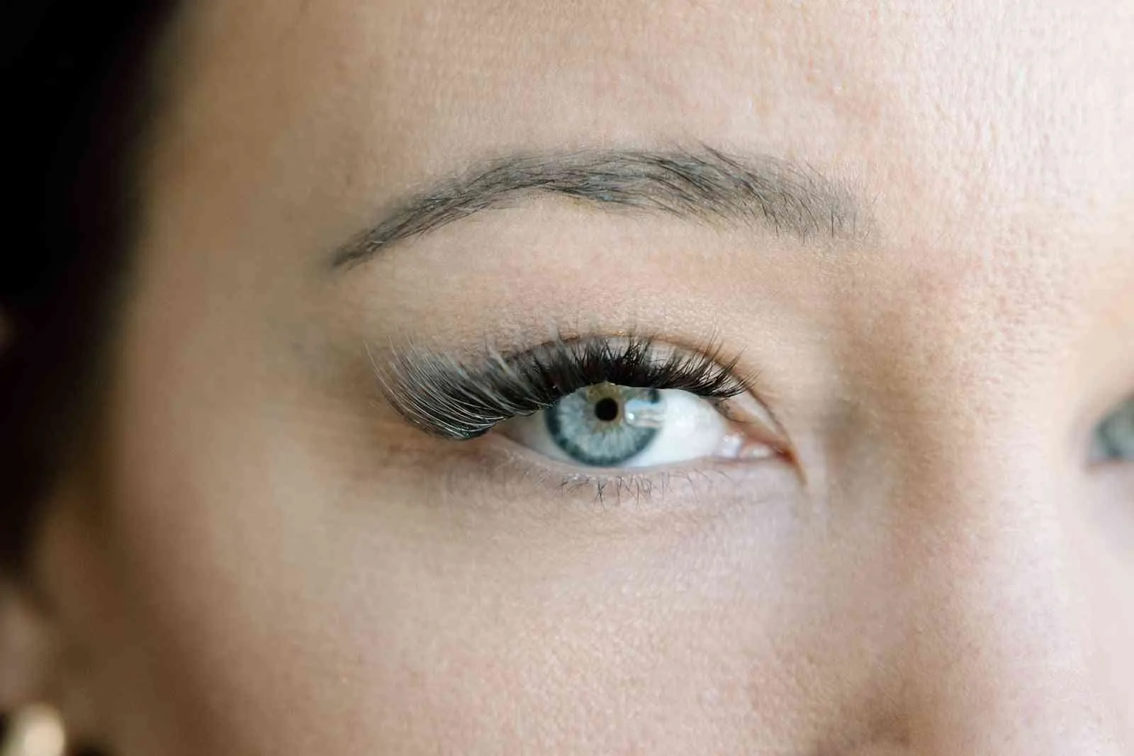 Fugitive - pre order single lash box