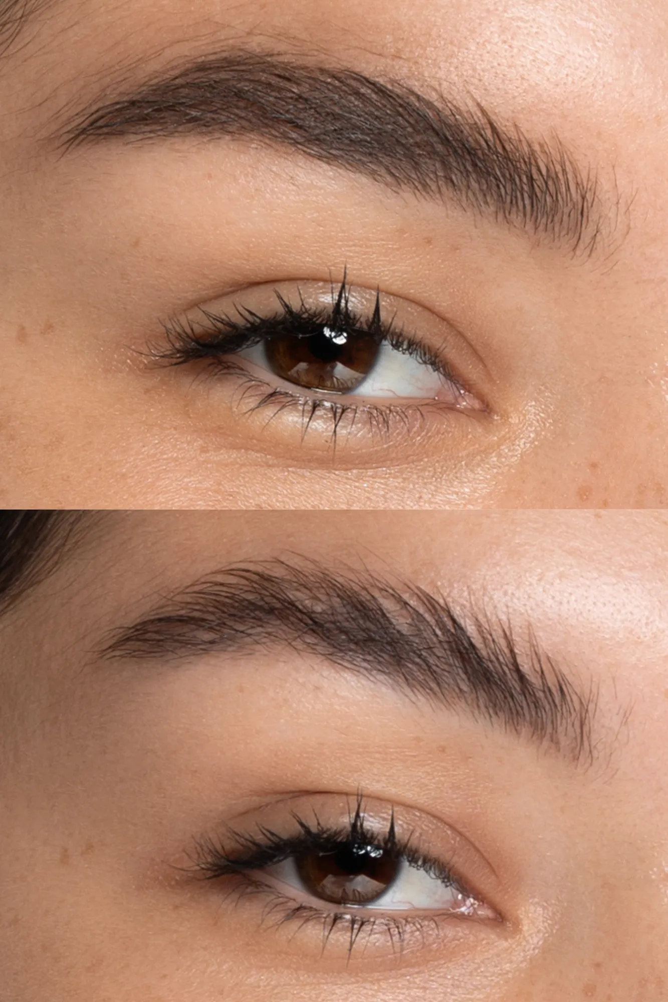 HD Crème Eyebrow | Trio