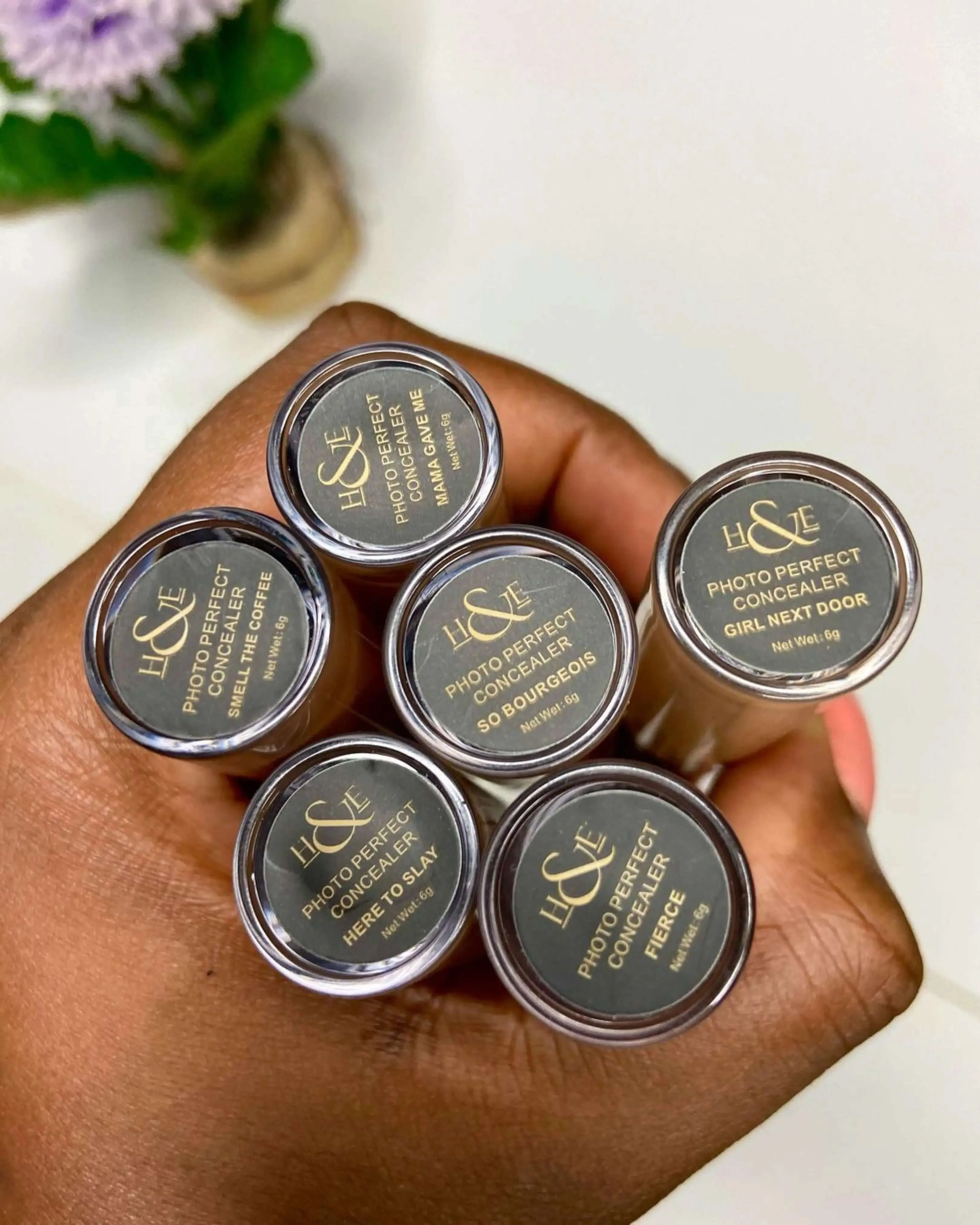 Hegai & Esther (H&E )Photo Perfect Concealer