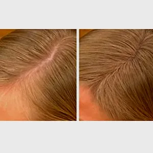 Joan Rivers Beauty Great Hair Day Fill-In Powder -  Brunette