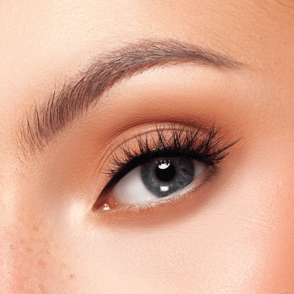 Kash Beauty Allure Lash