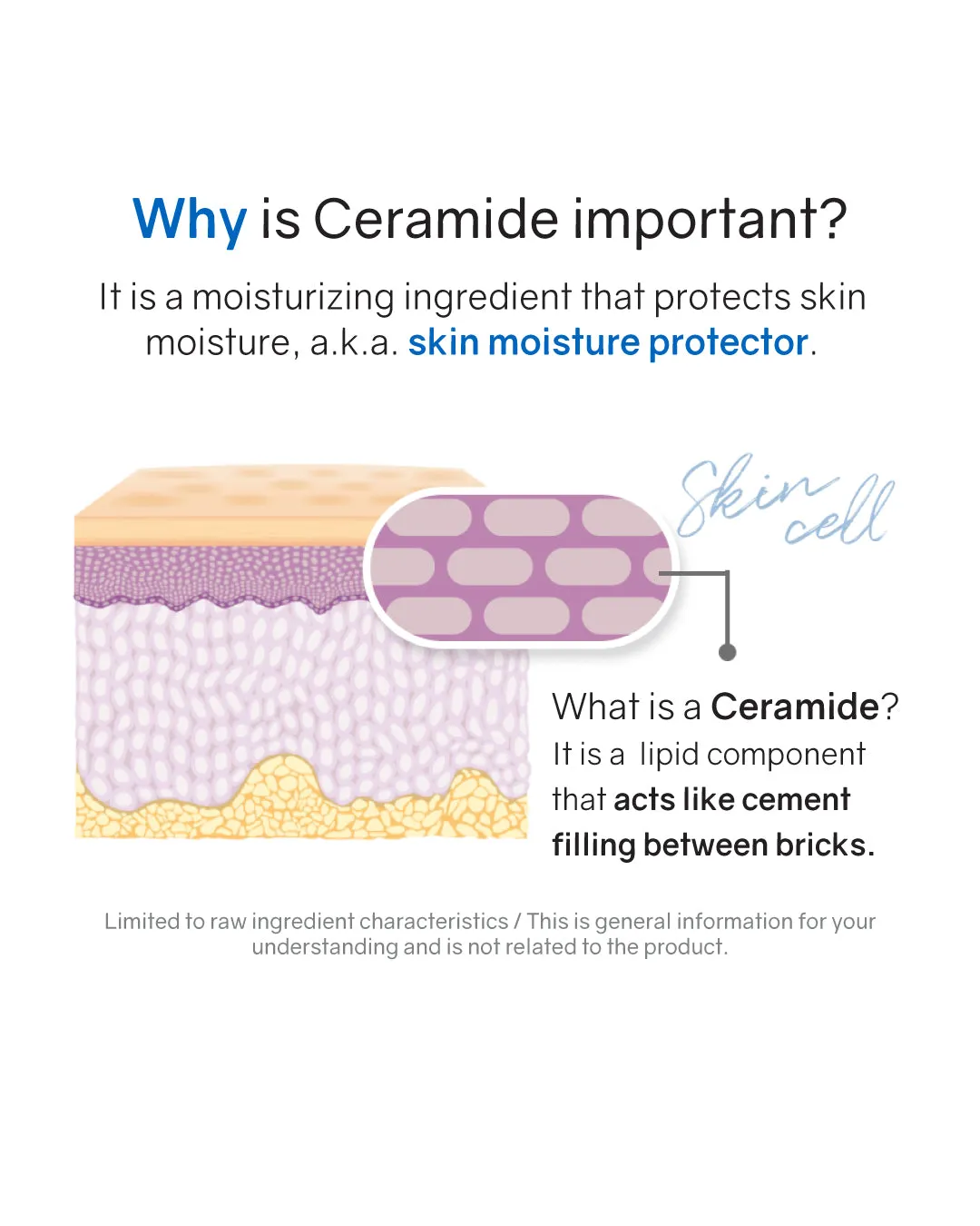 Lavien Derma Ceramide Four Ten Essence