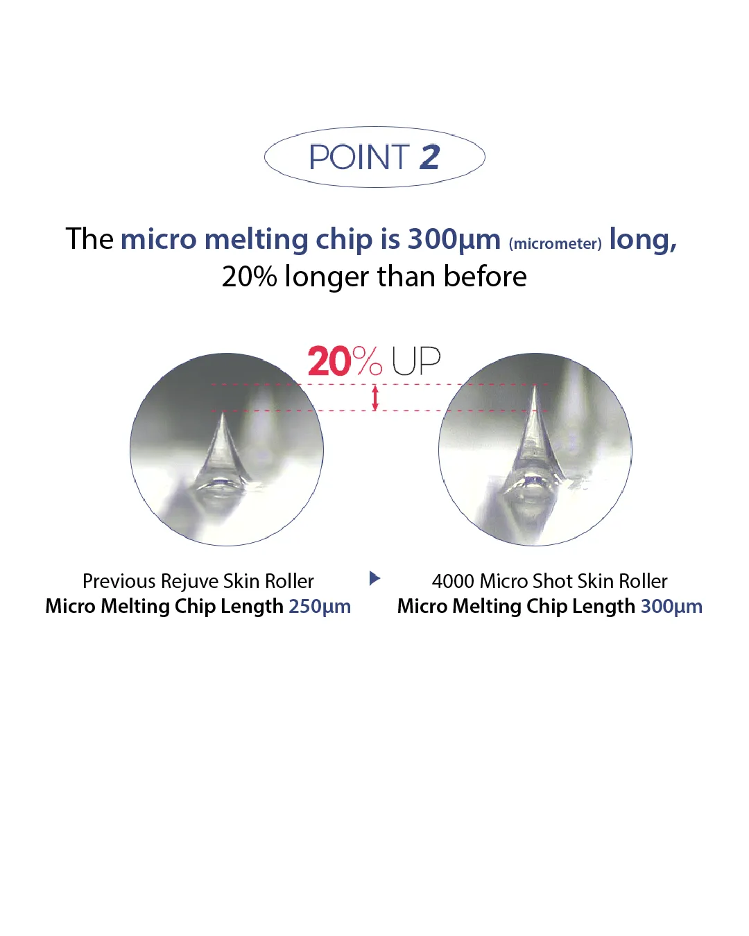 Lavien Medinic Line 4000 Micro Shot Skin Roller