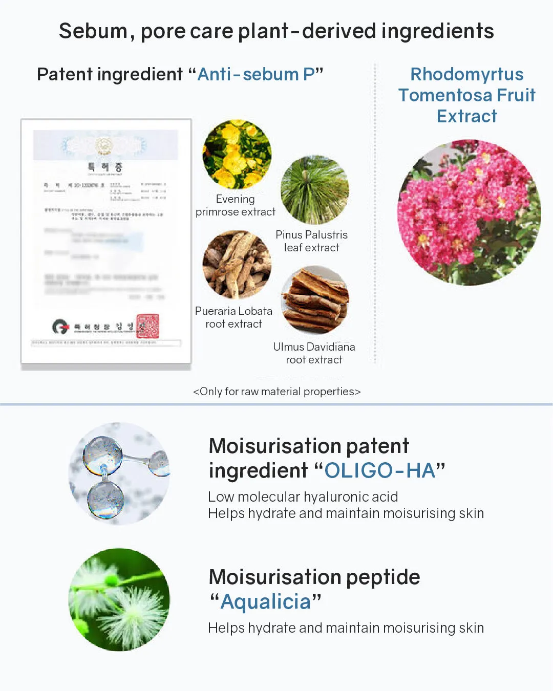 Lavien Perfect Pore Program