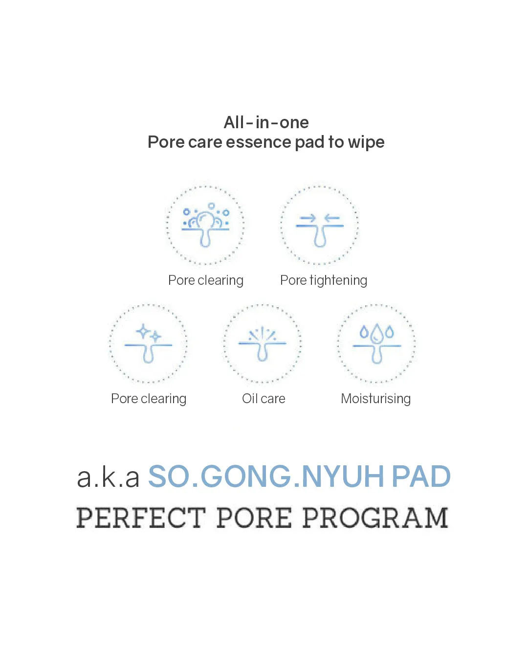 Lavien Perfect Pore Program