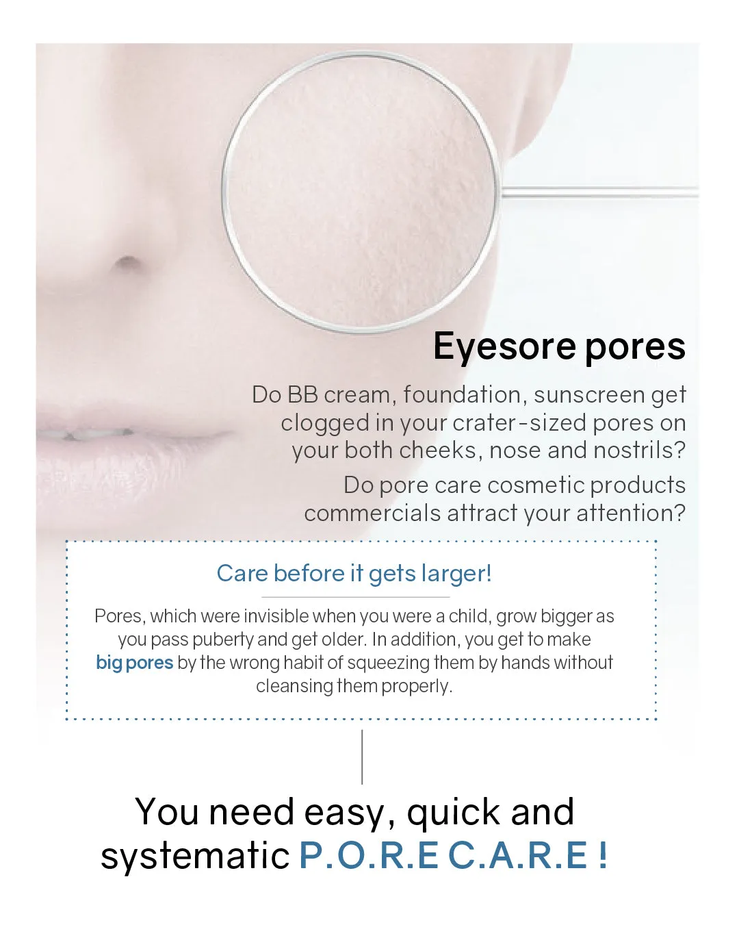 Lavien Perfect Pore Program