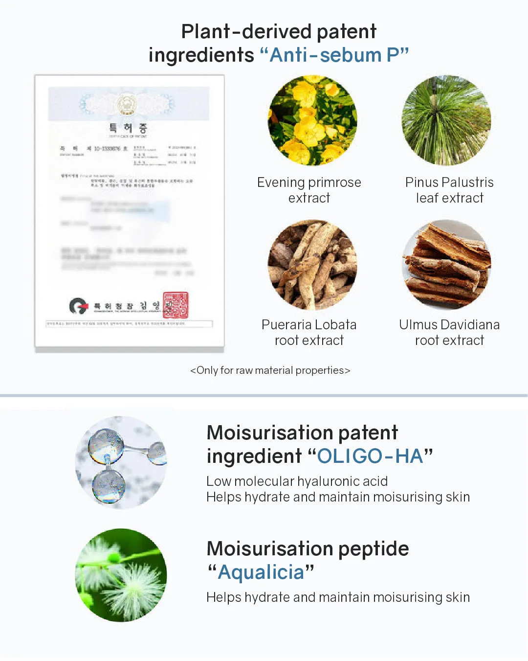 Lavien Perfect Pore Program