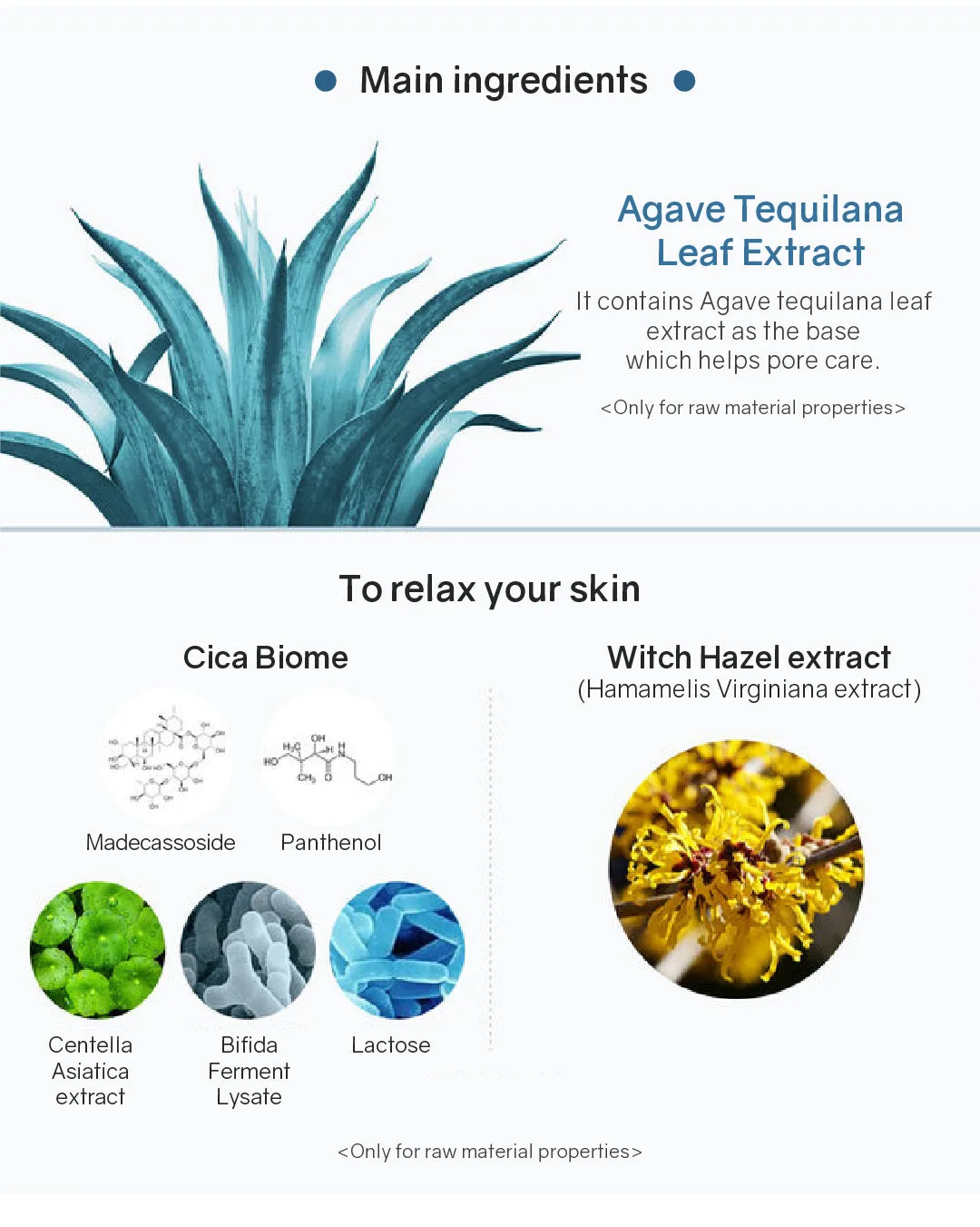 Lavien Perfect Pore Program
