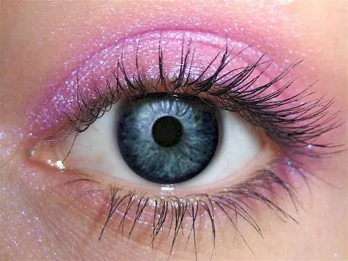 Lilly Pilly Eyeshadow