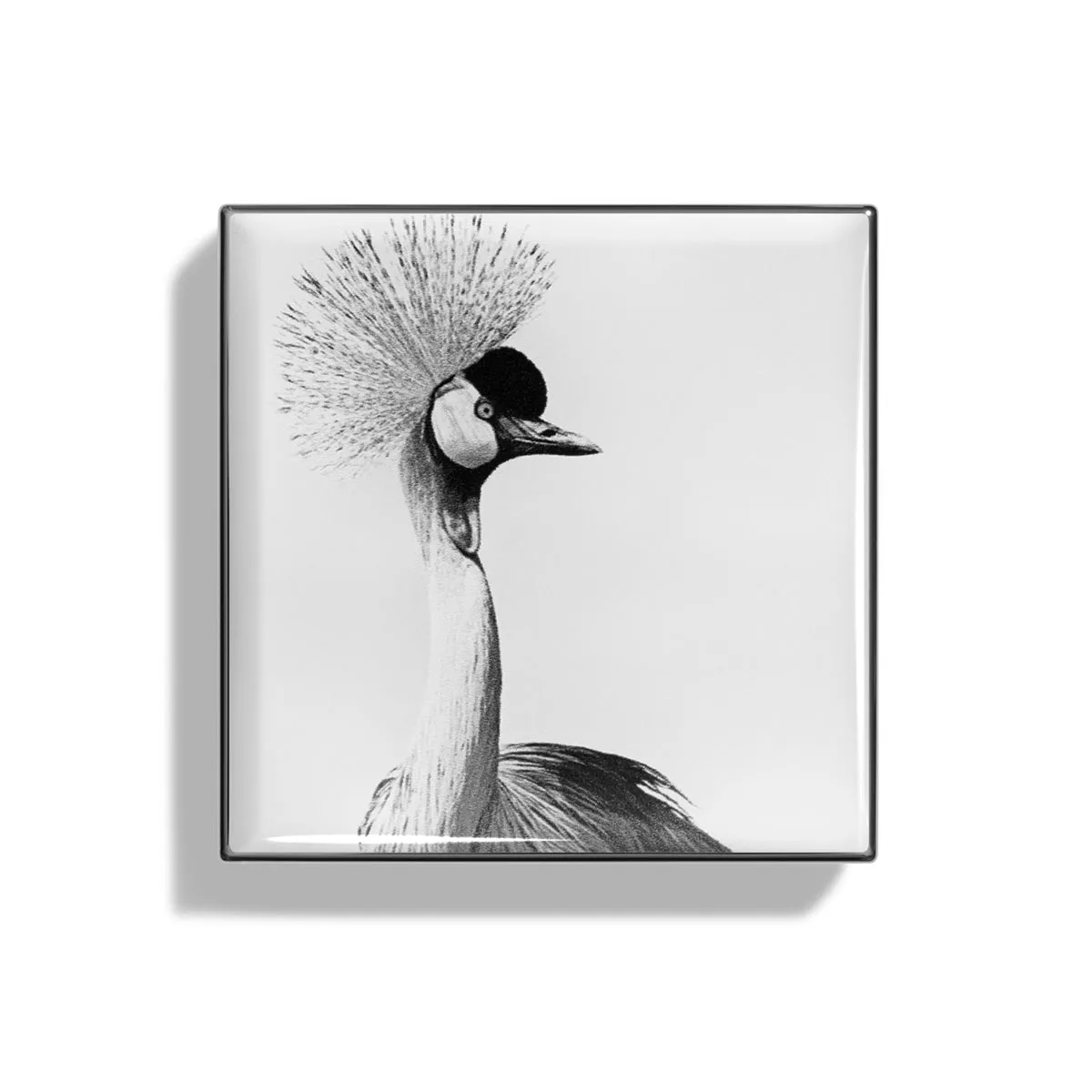 Luminescent Eye Shade Crane 2g