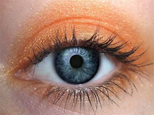 Mandarin Eyeshadow