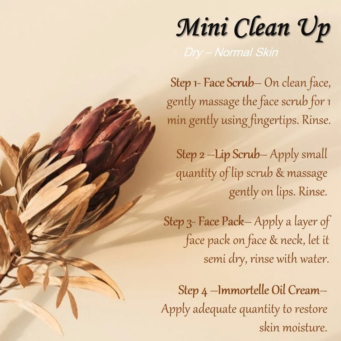 Mini Clean Up- Dry to Normal Skin