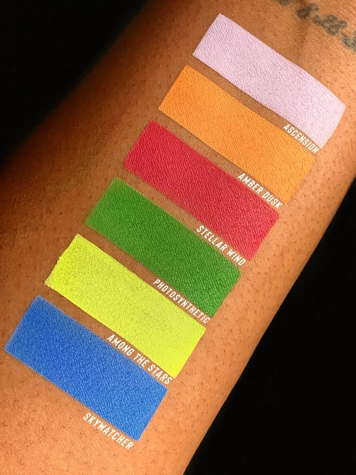 Photosynthetic