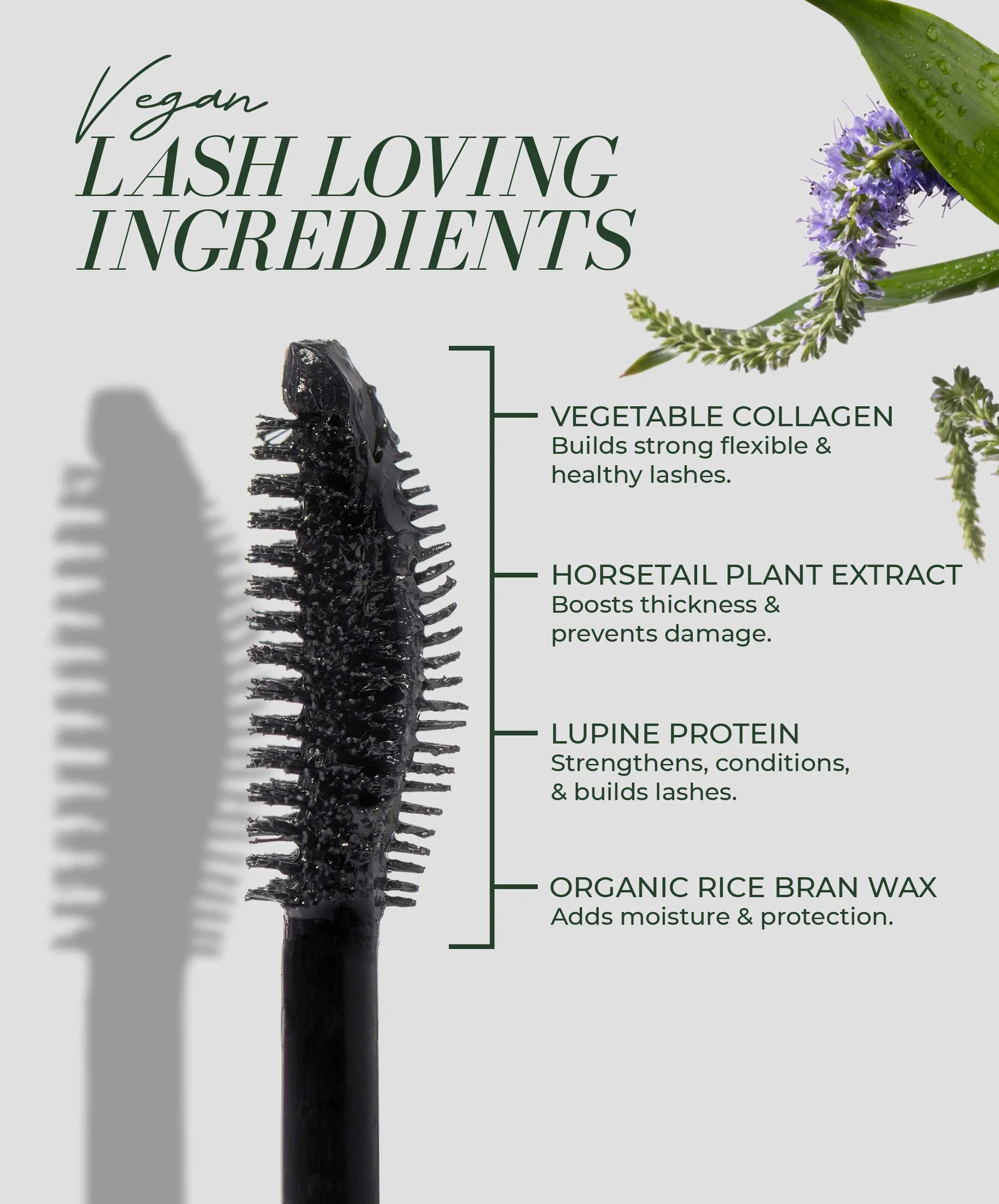 Plum Lash Primer