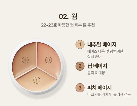 tfit Cover Up Pro Concealer 15g