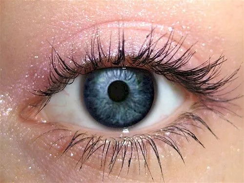 Wisteria Eyeshadow